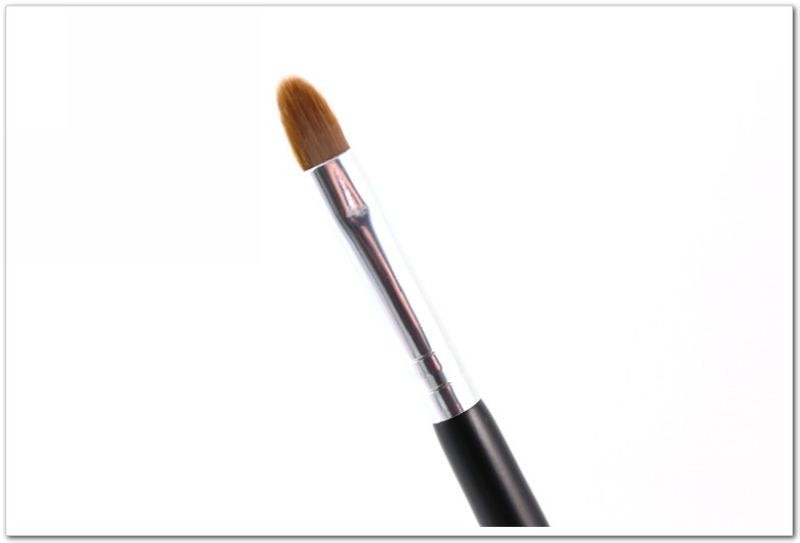 Makeup Applicator Brush Set 10 Pcs